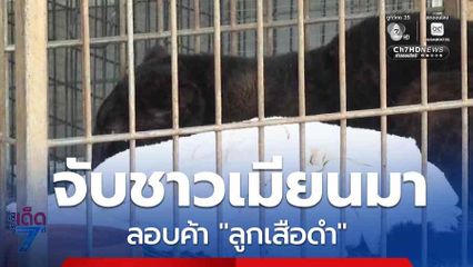 จับ ชาย-หญิงชาวเมียนมา ลอบค้า "ลูกเสือดำ"