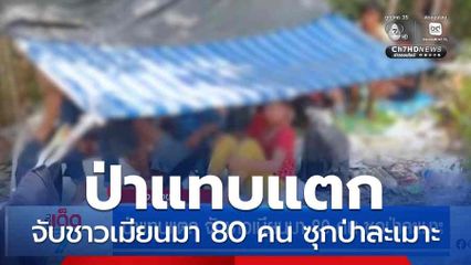 ป่าแทบแตก จับชาวเมียนมา 80 คน ซุกป่าละเมาะ