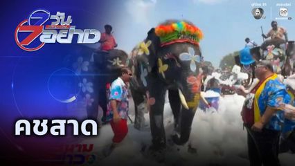 7 วัน 7 อย่าง : คชสาด