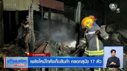 เพลิงไหม้โกดังเก็บสินค้า คลอกสุนัข 17 ตัว