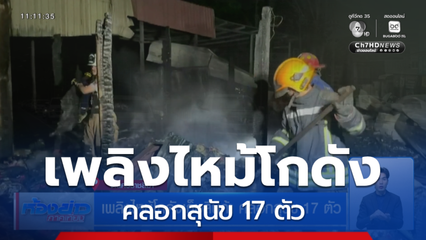 เพลิงไหม้โกดังเก็บสินค้า คลอกสุนัข 17 ตัว