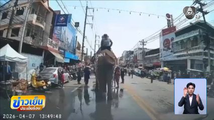 นักท่องเที่ยวลูบงา ถูกช้างทำร้าย หวิดสิ้นชื่อ จ.สุโขทัย