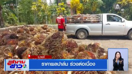 ราคาผลปาล์ม ร่วงต่อเนื่องลงมาแล้ว 2 บาทต่อกิโลกรัม ภายใน 4 วัน