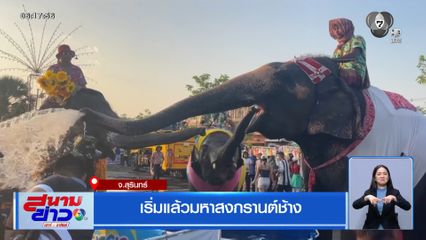 เริ่มแล้ว มหาสงกรานต์ช้าง จ.สุรินทร์