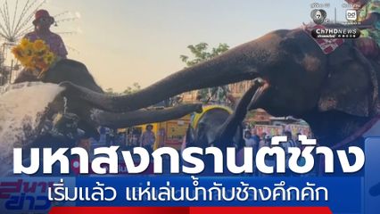 เริ่มแล้ว มหาสงกรานต์ช้าง จ.สุรินทร์