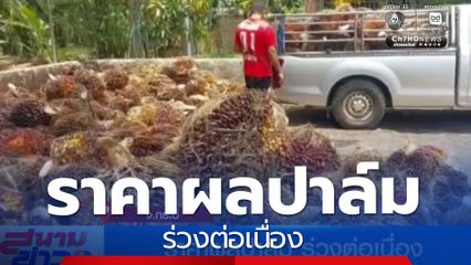 ราคาผลปาล์ม ร่วงต่อเนื่องลงมาแล้ว 2 บาทต่อกิโลกรัม ภายใน 4 วัน
