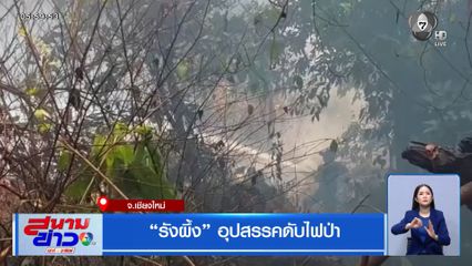 รังผึ้ง อุปสรรคดับไฟป่า จ.เชียงใหม่