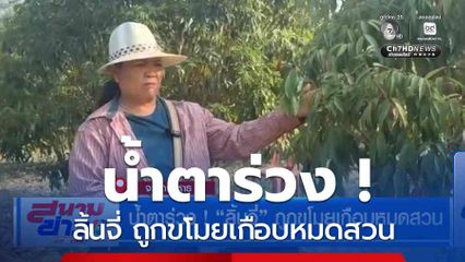 น้ำตาร่วง ! ลิ้นจี่ ถูกขโมยเกือบหมดสวน จ.มุกดาหาร