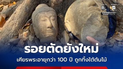 พบเศียรพระอายุกว่า 100 ปี ถูกโจรตัดนำมาทิ้งใต้ต้นไม้ริมถนน กรมศิลปากรอยู่ระหว่างตรวจสอบ