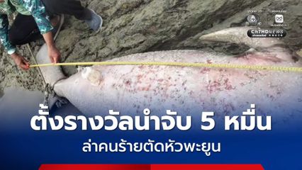 ตั้งรางวัลนำจับ 5 หมื่น ล่าคนร้ายตัดหัวพะยูน เกาะยาวน้อย
