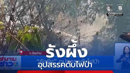 รังผึ้ง อุปสรรคดับไฟป่า จ.เชียงใหม่
