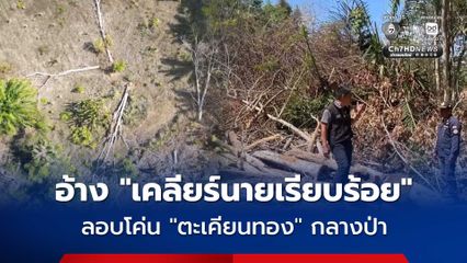 ลอบโค่น “ตะเคียนทอง” กลางป่าสงวนชุมพร 50 ต้นเกลี้ยง อ้างเคลียร์นายแล้ว