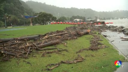 พายุไซโคลนพัดถล่มเกาะเหนือของนิวซีแลนด์