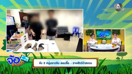 จับ 2 หนุ่มชาวจีน ลอบซื้อ - ขายสัตว์ป่าสงวน