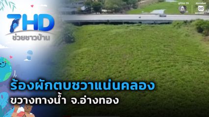 ร้องผักตบชวาแน่นคลอง ขวางทางน้ำ จ.อ่างทอง