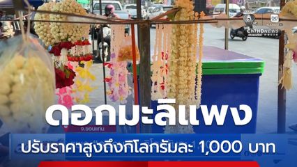 แพง ดอกมะลิ กิโลกรัมละ 1,000 บาท