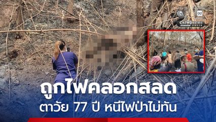 สลด ตาวัย 77 ปี หนีไฟป่าไม่ทัน ถูกไฟคลอกเสียชีวิตกลางป่า