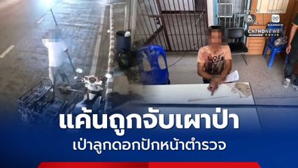 หนุ่มใหญ่แค้นตำรวจ เคยถูกจับเผาป่า เสพยาบ้าเป่าลูกดอกปักหน้าตำรวจเจ็บ