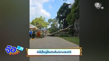 ต้นไม้ใหญ่โค่นทับเต็นท์งานประจำปี ตาย 2 คน