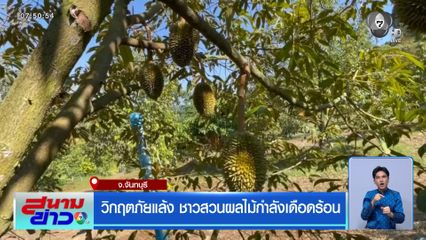 วิกฤตภัยแล้ง ชาวสวนผลไม้กำลังเดือดร้อน
