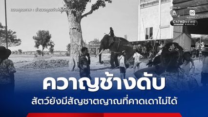 เหตุสลดวันสงกรานต์ ช้างทำร้ายควาญช้างเสียชีวิต