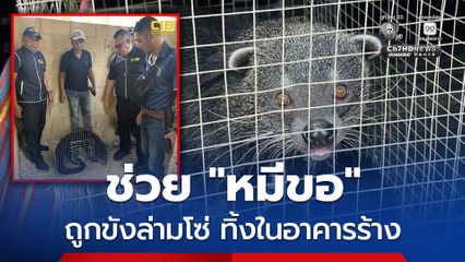 ตรวจยึดหมีขอสัตว์ป่าคุ้มครอง ถูกขังล่ามโซ่ทิ้งไว้ในอาคารร้าง จ.นราธิวาส
