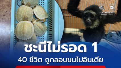 รวบชาวอินเดียลอบขนสัตว์ป่า 40 ตัว สุชาติสั่งดำเนินคดีเด็ดขาด