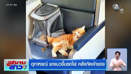 อุทาหรณ์ พาแมวขึ้นรถไฟ คลั่งกัดเจ้าของ