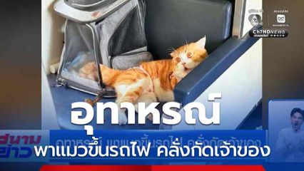 อุทาหรณ์ พาแมวขึ้นรถไฟ คลั่งกัดเจ้าของ