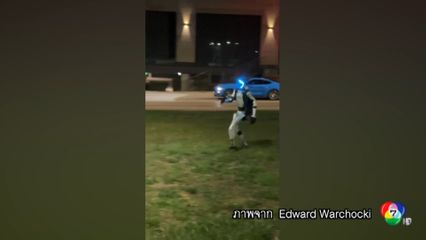 หุ่นยนต์ ฮิวแมนนอยด์ วิ่งไล่หมูป่า ในโปแลนด์