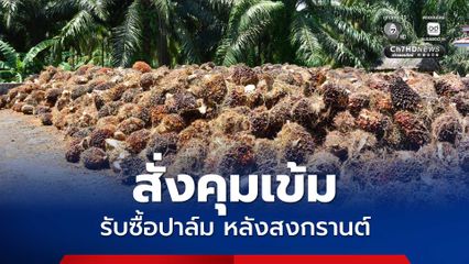 สั่งคุมเข้มรับซื้อปาล์มหลังสงกรานต์ ลุยเช็กลานเท โรงงานทันที กันกดราคา เพิ่มสัดส่วนพลังงานหนุนราคาขยับ