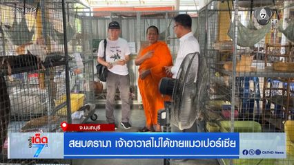 สยบดรามา เจ้าอาวาสไม่ได้ขายแมวเปอร์เซีย จ.นนทบุรี