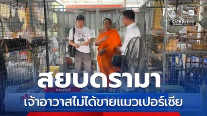 สยบดรามา เจ้าอาวาสไม่ได้ขายแมวเปอร์เซีย จ.นนทบุรี