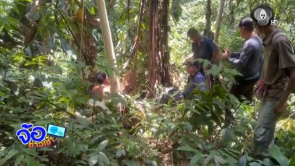 พรานล่าน้ำผึ้งป่า ถูกผึ้งรุมต่อยวิ่งเตลิดจนหลงป่า