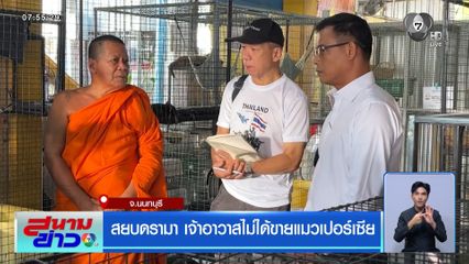 สยบดรามา เจ้าอาวาสไม่ได้ขายแมวเปอร์เซีย