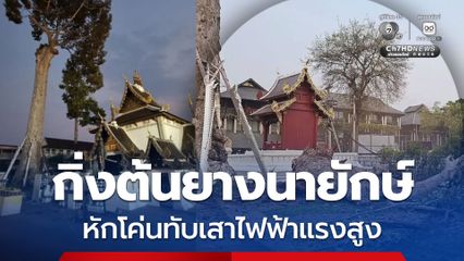 กิ่งไม้ขนาดใหญ่ของต้นยางนายักษ์ ไม้หมายเมืองเก่าแก่คู่เมืองเชียงใหม่ หักโค่นทับเสาไฟฟ้าแรงสูง