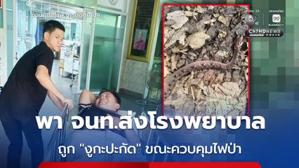 เจ้าหน้าที่ดับไฟป่าดอยขุนตาล ถูก “งูกะปะกัด” ขณะควบคุมไฟป่า ทาง รมว.ทส. สั่งกรมอุทยานฯ ดูแลอย่างเต็มที่