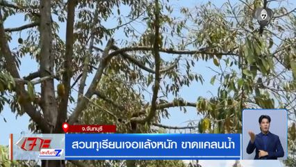 สวนทุเรียนเจอแล้งหนัก ขาดแคลนน้ำ