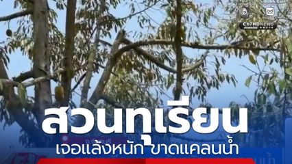 สวนทุเรียนเจอแล้งหนัก ขาดแคลนน้ำ