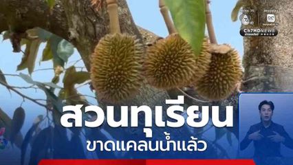 สวนทุเรียน ขาดแคลนน้ำแล้ว