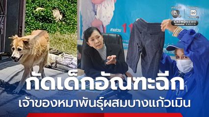 เจ้าของหมาพันธุ์ผสมบางแก้วเมินรับผิดชอบ กัดเด็กอัณฑะฉีก