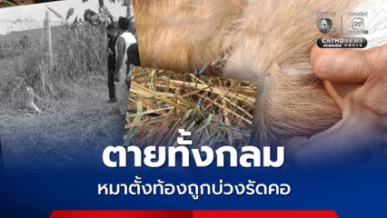 เจ้าของสะเทือนใจ หมาตั้งท้องถูกบ่วงรัดคอ ตายทั้งกลม