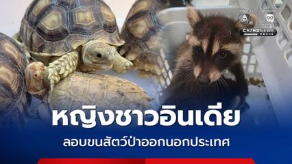 จับกุมหญิงชาวอินเดีย พยายามลักลอบขนสัตว์ป่าออกนอกประเทศ