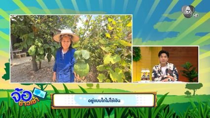 อยู่แบบใดไม่ใช้เงิน