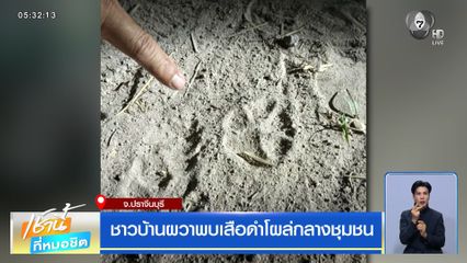 ชาวบ้านผวาพบเสือดำโผล่กลางชุมชน