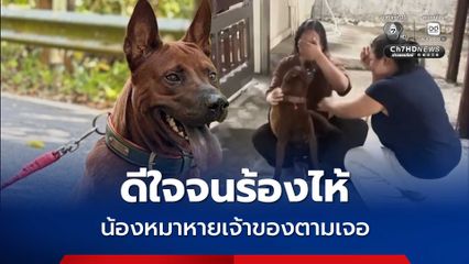 ดีใจจนร้องไห้ น้องหมาหายเจ้าของตามเจอ