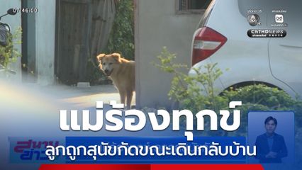 แม่ร้องทุกข์ ลูกถูกสุนัขกัดขณะเดินกลับบ้าน