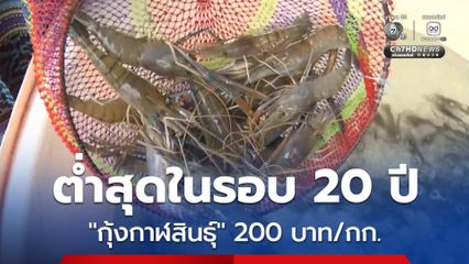 ราคาต่ำสุดในรอบ 20 ปี ผู้ค้ากุ้งก้ามกรามกาฬสินธุ์โอด วอนรัฐเร่งแก้