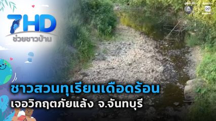 ชาวสวนทุเรียนเดือดร้อน เจอวิกฤตภัยแล้ง จ.จันทบุรี