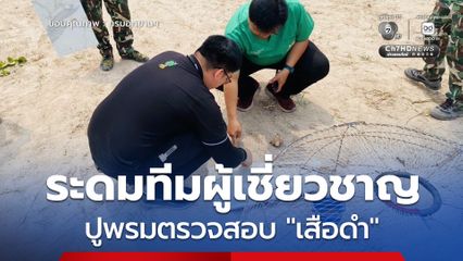 ระดมทีมผู้เชี่ยวชาญพร้อมเจ้าหน้าที่ ปูพรมตรวจสอบ "เสือดำ" โผล่ ด้านสัตวแพทย์พิสูจน์รอยกัดลูกสุนัขอาจเป็นเพียงรอยเขี้ยวสุนัข เร่งติดกล้องเฝ้าระวังเข้ม 24 ชม.